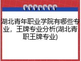 湖北青年职业学院有哪些专业，王牌专业分析(湖北青职王牌专业)