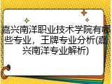 嘉兴南洋职业技术学院有哪些专业，王牌专业分析(嘉兴南洋专业解析)