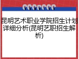 昆明艺术职业学院招生计划详细分析(昆明艺职招生解析)