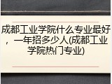 成都工业学院什么专业最好，一年招多少人(成都工业学院热门专业)
