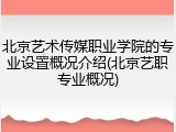北京艺术传媒职业学院的专业设置概况介绍(北京艺职专业概况)