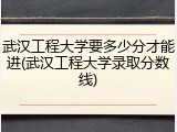 武汉工程大学要多少分才能进(武汉工程大学录取分数线)