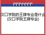 汉口学院的王牌专业是什么(汉口学院王牌专业)