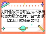 沈阳北软信息职业技术学院师资力量怎么样，名气如何(沈阳北软师资名气)