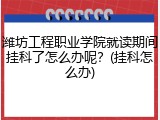 潍坊工程职业学院就读期间挂科了怎么办呢？(挂科怎么办)