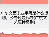 广东文艺职业学院是什么级别，公办还是民办(广东文艺属性级别)