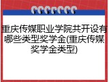 重庆传媒职业学院共开设有哪些类型奖学金(重庆传媒奖学金类型)