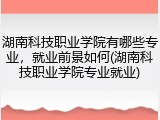湖南科技职业学院有哪些专业，就业前景如何(湖南科技职业学院专业就业)