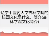 辽宁中医药大学杏林学院的校园文化是什么，简介(杏林学院文化简介)