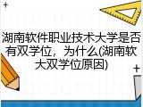 湖南软件职业技术大学是否有双学位，为什么(湖南软大双学位原因)
