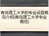 青岛理工大学的专业设置概况介绍(青岛理工大学专业概览)