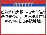 哈尔滨电力职业技术学院地理位置介绍，详细地址在哪(哈尔滨电力学院地址)