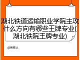 湖北铁道运输职业学院主攻什么方向有哪些王牌专业(湖北铁院王牌专业)