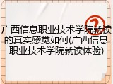 广西信息职业技术学院就读的真实感觉如何(广西信息职业技术学院就读体验)