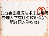 民办合肥经济技术职业学院办理入学有什么攻略没(合肥经职入学攻略)
