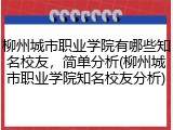 柳州城市职业学院有哪些知名校友，简单分析(柳州城市职业学院知名校友分析)