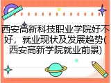 西安高新科技职业学院好不好，就业现状及发展趋势(西安高新学院就业前景)