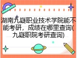 湖南九嶷职业技术学院能不能考研，成绩在哪里查询(九嶷职院考研查询)