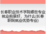 长春职业技术学院哪些专业就业前景好，为什么(长春职院就业优势专业)