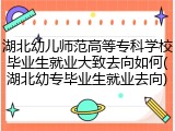 湖北幼儿师范高等专科学校毕业生就业大致去向如何(湖北幼专毕业生就业去向)