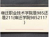 宿迁职业技术学院是985还是211(宿迁学院985211？)