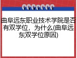 曲阜远东职业技术学院是否有双学位，为什么(曲阜远东双学位原因)