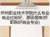 忻州职业技术学院什么专业就业比较好，原因是啥(忻职院好就业专业)