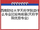 西南财经大学天府学院读什么专业比较有前景(天府学院优势专业)
