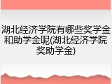 湖北经济学院有哪些奖学金和助学金呢(湖北经济学院奖助学金)