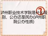 泸州职业技术学院是什么级别，公办还是民办(泸州职院公办性质)