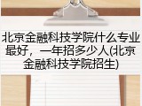 北京金融科技学院什么专业最好，一年招多少人(北京金融科技学院招生)