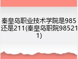 秦皇岛职业技术学院是985还是211(秦皇岛职院985211)