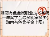 湖南有色金属职业技术学院一年奖学金最多能拿多少(湖南有色奖学金上限)