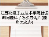 江苏财经职业技术学院就读期间挂科了怎么办呢？(挂科怎么办)
