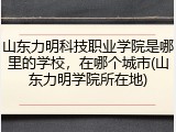 山东力明科技职业学院是哪里的学校，在哪个城市(山东力明学院所在地)