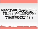 哈尔滨传媒职业学院是985还是211(哈尔滨传媒职业学院属985或211？)