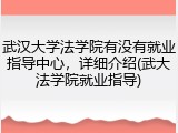 武汉大学法学院有没有就业指导中心，详细介绍(武大法学院就业指导)