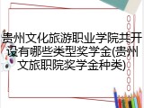 贵州文化旅游职业学院共开设有哪些类型奖学金(贵州文旅职院奖学金种类)