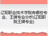 辽阳职业技术学院有哪些专业，王牌专业分析(辽阳职院王牌专业)