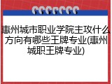 惠州城市职业学院主攻什么方向有哪些王牌专业(惠州城职王牌专业)