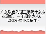 广东以色列理工学院什么专业最好，一年招多少人(广以优势专业及招生)