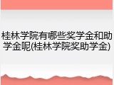 桂林学院有哪些奖学金和助学金呢(桂林学院奖助学金)