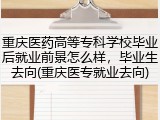 重庆医药高等专科学校毕业后就业前景怎么样，毕业生去向(重庆医专就业去向)