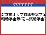 南京审计大学有哪些奖学金和助学金呢(南审奖助学金)