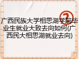 广西民族大学相思湖学院毕业生就业大致去向如何(广西民大相思湖就业去向)