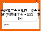 武汉理工大学是双一流大学吗?(武汉理工大学是双一流吗)