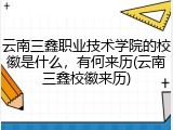 云南三鑫职业技术学院的校徽是什么，有何来历(云南三鑫校徽来历)
