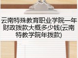云南特殊教育职业学院一年财政拨款大概多少钱(云南特教学院年拨款)