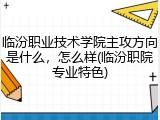 临汾职业技术学院主攻方向是什么，怎么样(临汾职院专业特色)