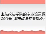 山东政法学院的专业设置概况介绍(山东政法专业概览)